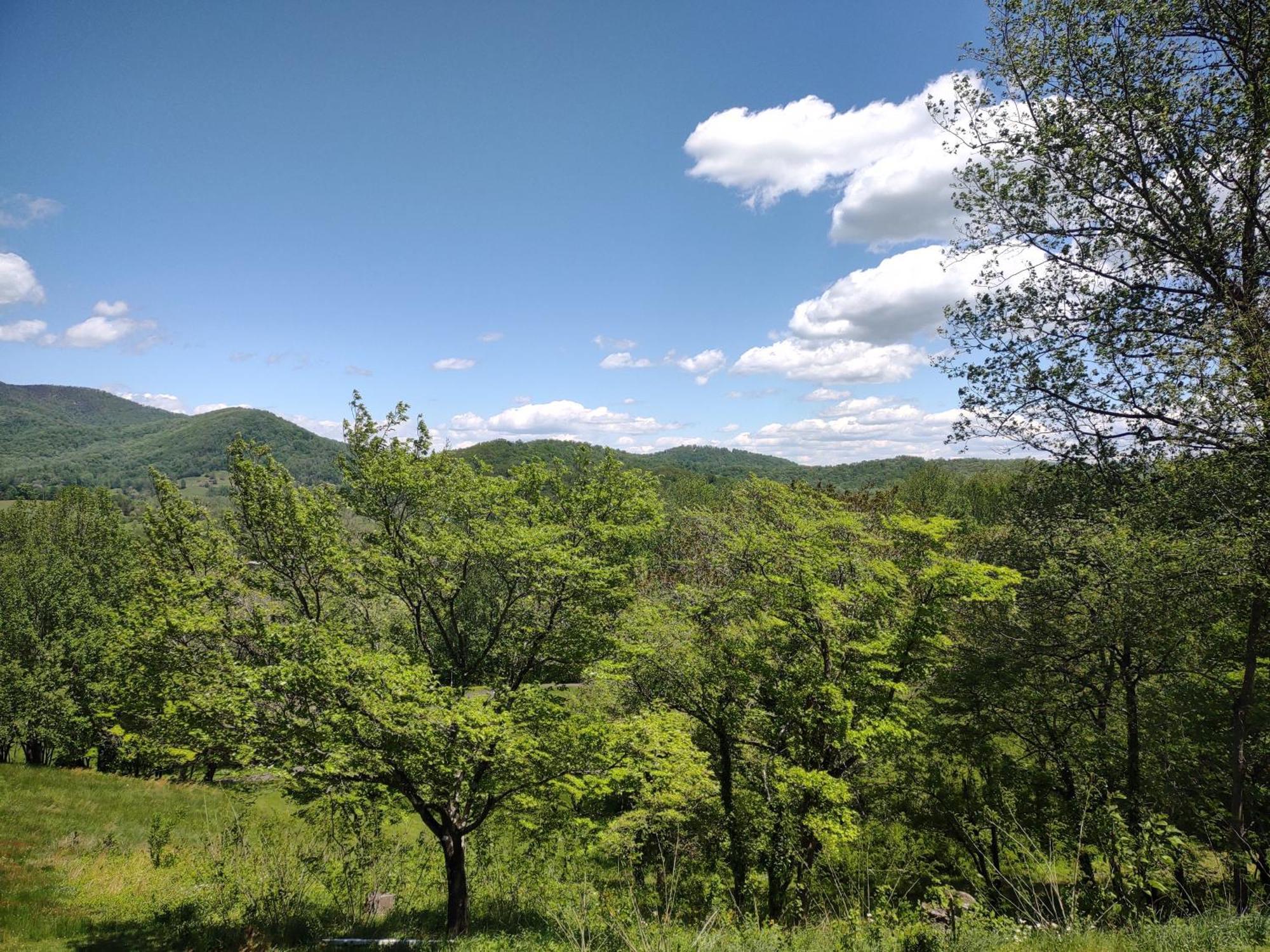 Graves Mountain Farm & Lodges Syria Экстерьер фото
